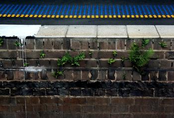 �ƾ���������Ƶ��Ƶ��������ǣ����ٸ��ܵǷ��켫 �ɲ����ܷ�����...